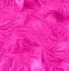   Texture Map  