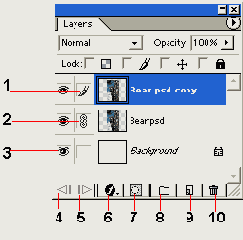 Хотя программа ImageReady может быть